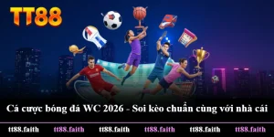 Cá Cược Bóng Đá WC 2026 - Soi Kèo Chuẩn Cùng Với Nhà Cái