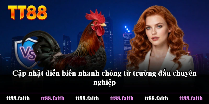 Cập nhật diễn biến nhanh chóng từ trường đấu chuyên nghiệp Cập nhật diễn biến nhanh chóng từ trường đấu chuyên nghiệp