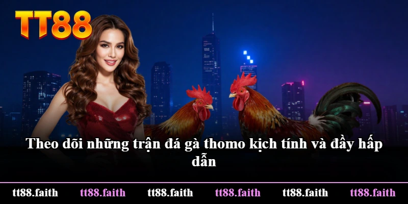 Theo dõi những trận đá gà thomo kịch tính và đầy hấp dẫn Theo dõi những trận đá gà thomo kịch tính và đầy hấp dẫn